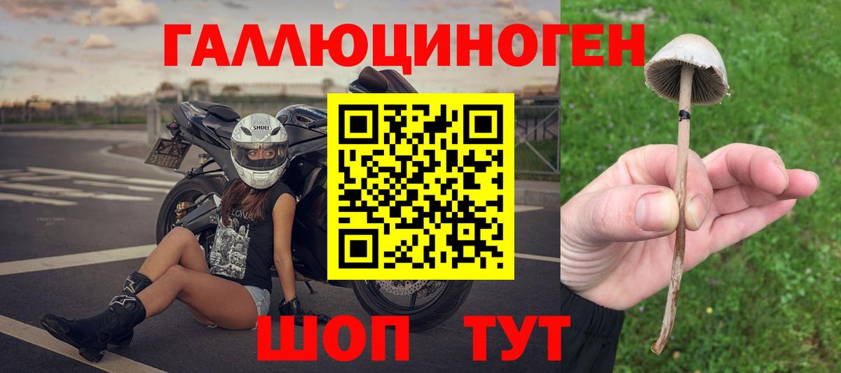 Псилоцибиновые грибы прущие грибы  Галлюциногенные грибы Psilocybe  как найти закладки  Вход с VPN  Гусиноозёрск 